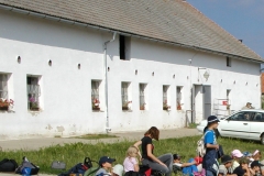 stáje